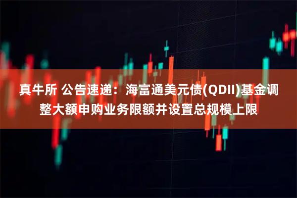 真牛所 公告速递：海富通美元债(QDII)基金调整大额申购业务限额并设置总规模上限