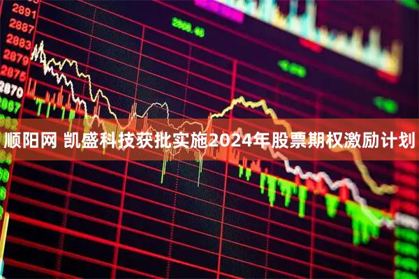 顺阳网 凯盛科技获批实施2024年股票期权激励计划