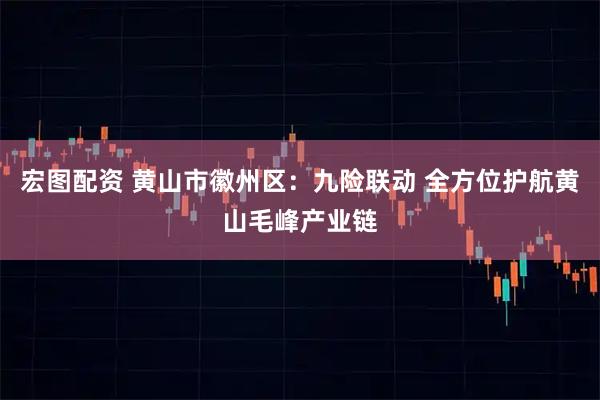 宏图配资 黄山市徽州区：九险联动 全方位护航黄山毛峰产业链