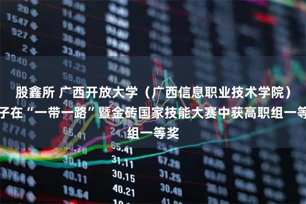 股鑫所 广西开放大学(广西信息职业技术学院)学子在“一带一路”暨金砖国家技能大赛中获高职组一等奖